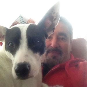 Meet your Posher, Norman